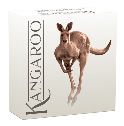 2024 $1 Australian Kangaroo 1oz Silver Proof High Relief Coloured Coin