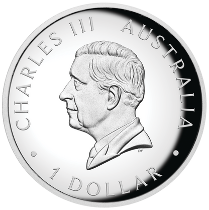 2024 $1 Australian Kangaroo 1oz Silver Proof High Relief Coloured Coin