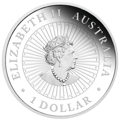 Australian 2021 1oz Silver Proof $1 MOTHER OF PEARL Coin Great Southern Land